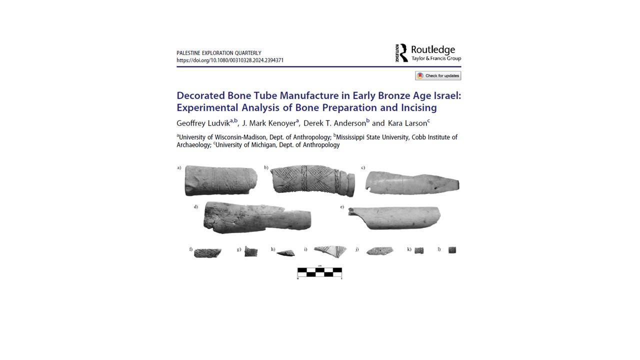 Bone tube article